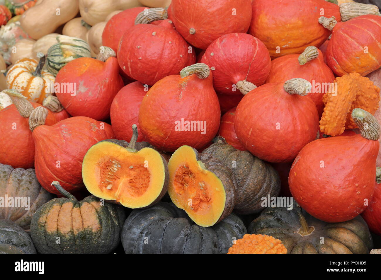 Gemüse auf der Herbstmesse in Riga. Landwirtschaftliche Produkte und gesunde Ernährung. Stockfoto