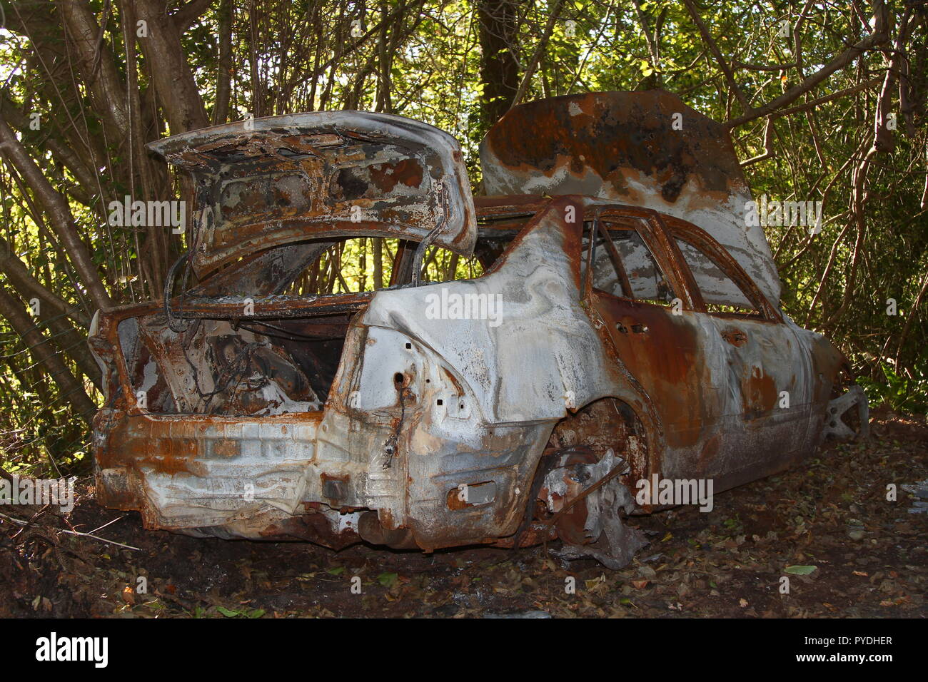 Blagdon, Devon, England: Ein ausgebranntes/abgebranntes verlassenes Auto an einem Walddelikt Stockfoto