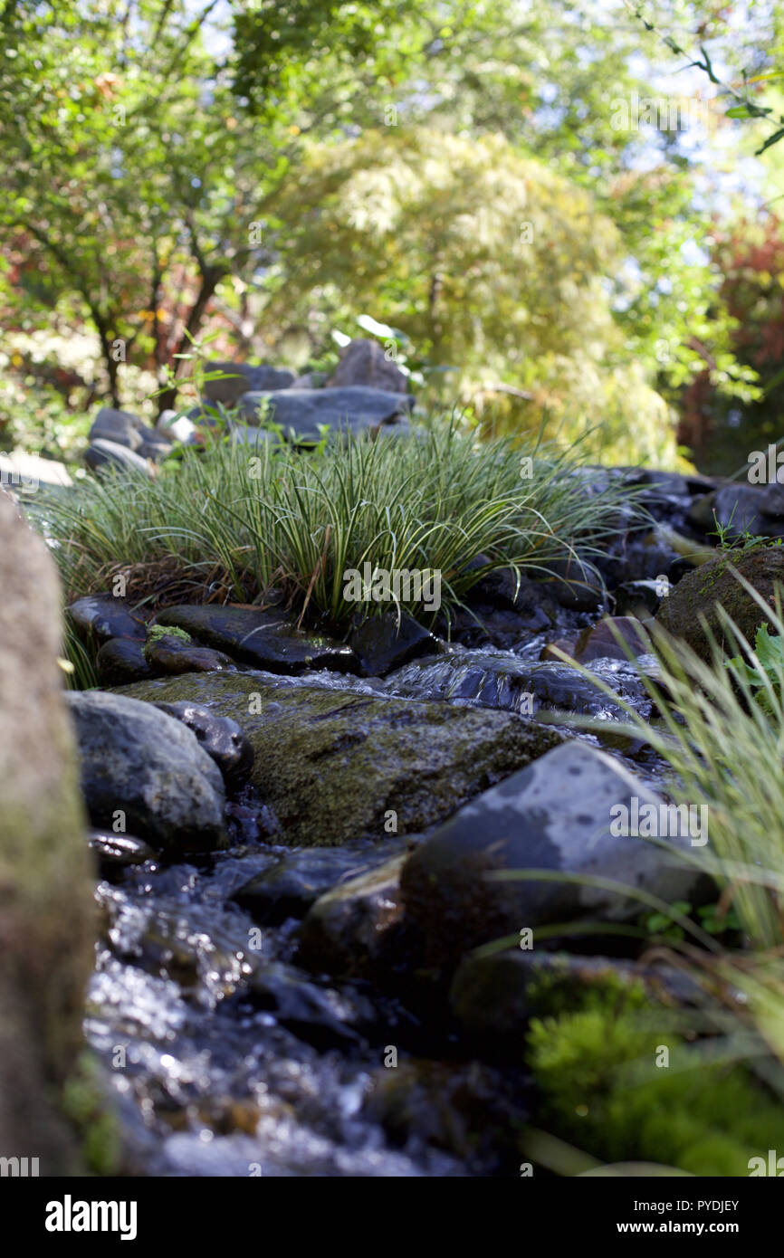 Japanischer Garten in Fresno Stockfoto