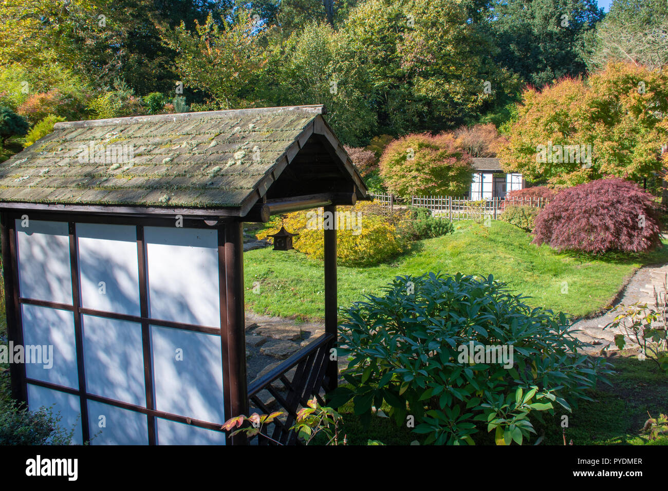 Mit Blick auf den japanischen Garten mit Pergola im Vordergrund Stockfoto