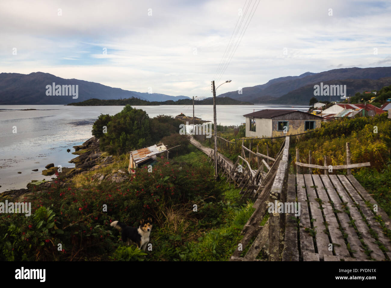 Promenade an der isolierten Puerto Eden in Wellington Inseln, Fjorde im Süden von Chile. Patagonien Stockfoto
