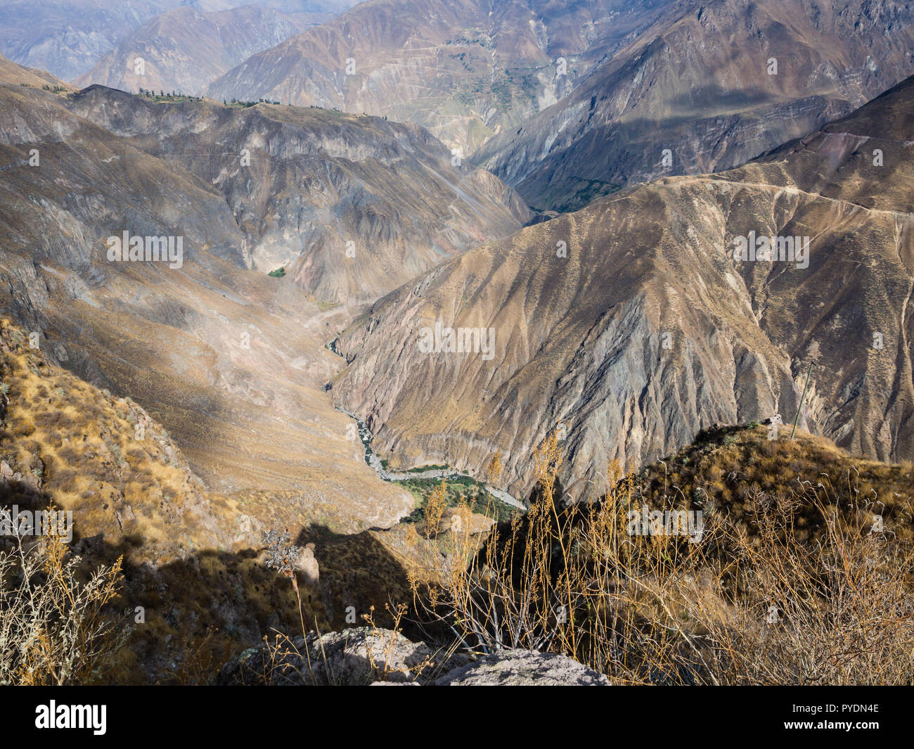 Colca Canyon in Peru, der tiefsten Schlucht in der Welt Stockfoto