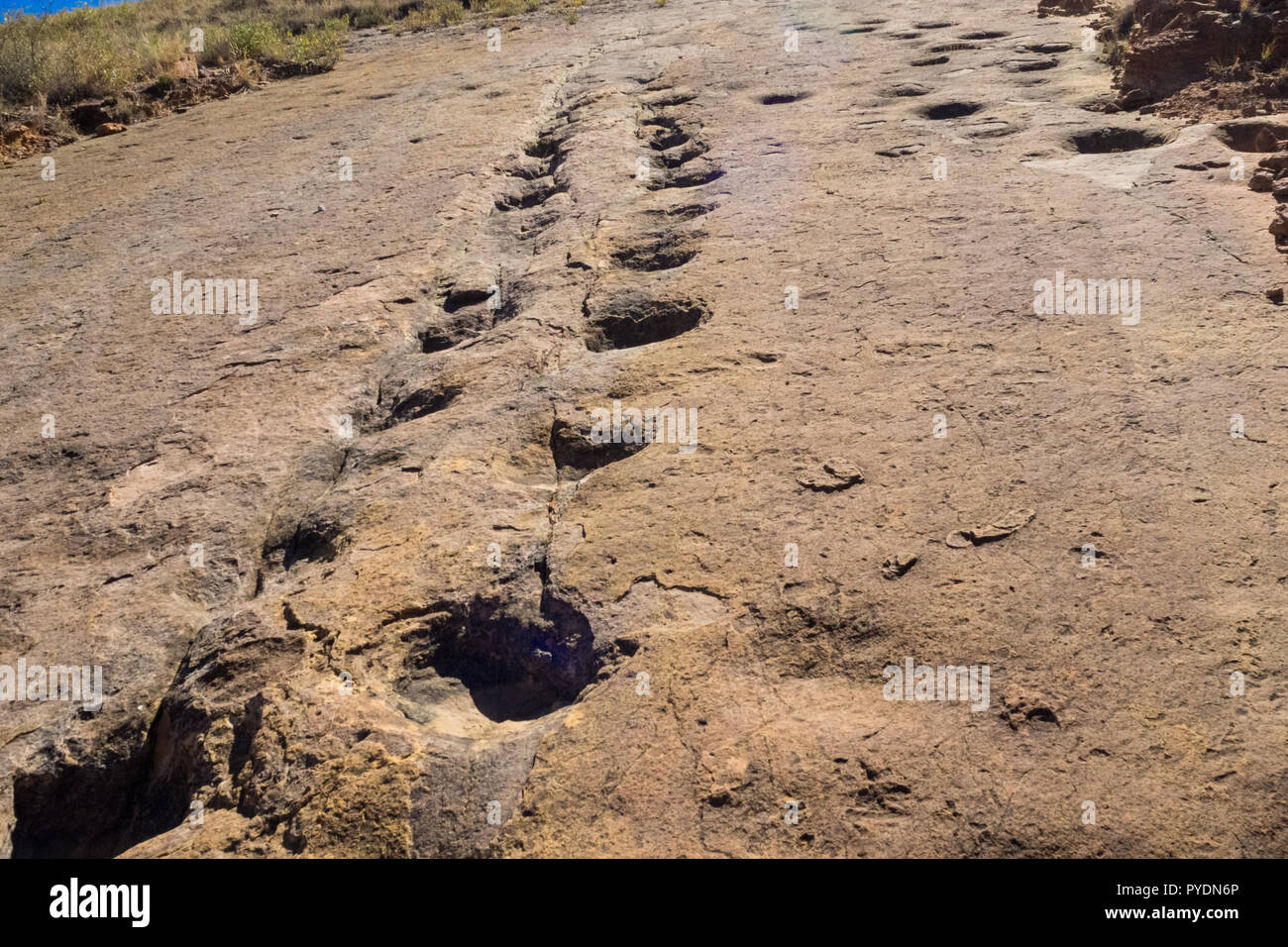 Dinosaur Footprint in Toro Toro, Bolivien. Pflanzenfresser Dinosaurier Stockfoto Dinosaur Footprint in Toro Toro, Bolivien. Pflanzenfresser Dinosaurier Stockfoto