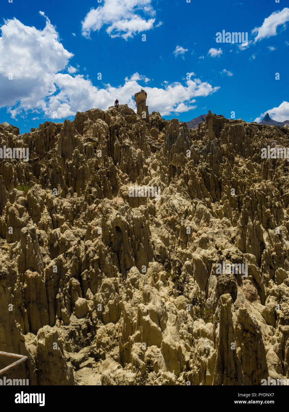 Einzigartige geologische Formationen Klippen Formen, Moon Valley Park, La Paz, Bolivien touristische Reiseziel. Die Anden Stockfoto