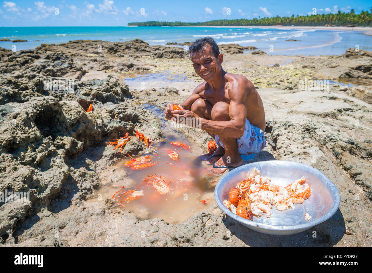 CAIRU, BRASILIEN - ca. Februar 2018: Lokale Beach Shack Eigentümer bereiten frisch Hummer zum Mittagessen Tagesausflug Touristen serviert werden gefangen. Stockfoto