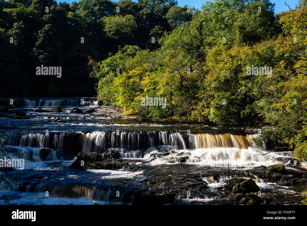 Die herbstlichen Sonnenlicht auf dem Fluß Ure am oberen Kraft, Aysgarth, Wensleydale, Großbritannien Stockfoto