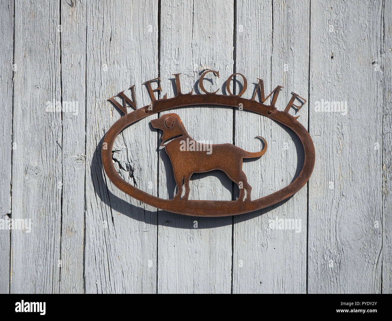 Schild mit Hund detail Willkommen Stockfoto