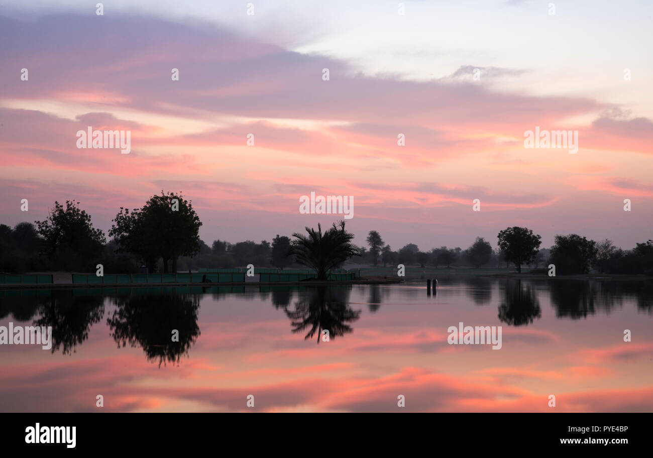 Sunraise im Al Qudra See finden, in der Nähe von Dubai Stockfoto