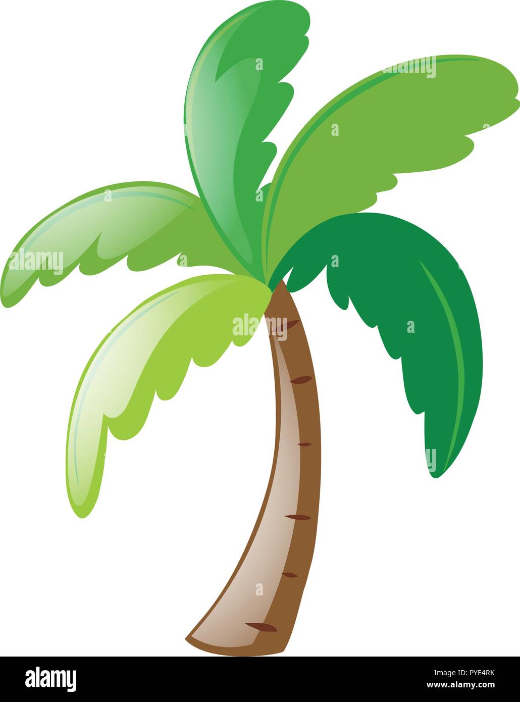 Kokospalme auf weißem Hintergrund Abbildung Stock Vektor