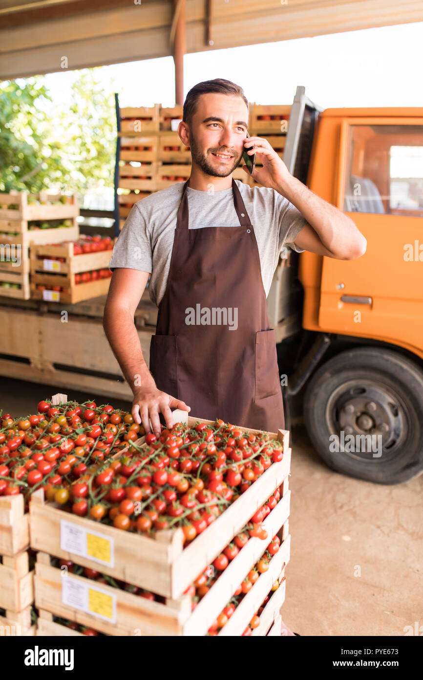 Junger Mann am Telefon sprechen Sie mit Kunden Boxen vorne sammeln Tomaten im Gewächshaus. Online Telefon Vertrieb Tomate Bestellungen des Kunden Familienfarm bu Stockfoto