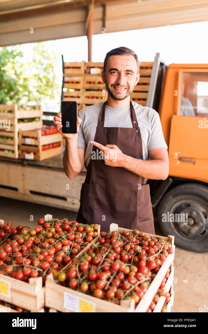 Junger Mann am Telefon sprechen Sie mit Kunden Boxen vorne sammeln Tomaten im Gewächshaus. Online Telefon Vertrieb Tomate Bestellungen des Kunden Familienfarm bu Stockfoto