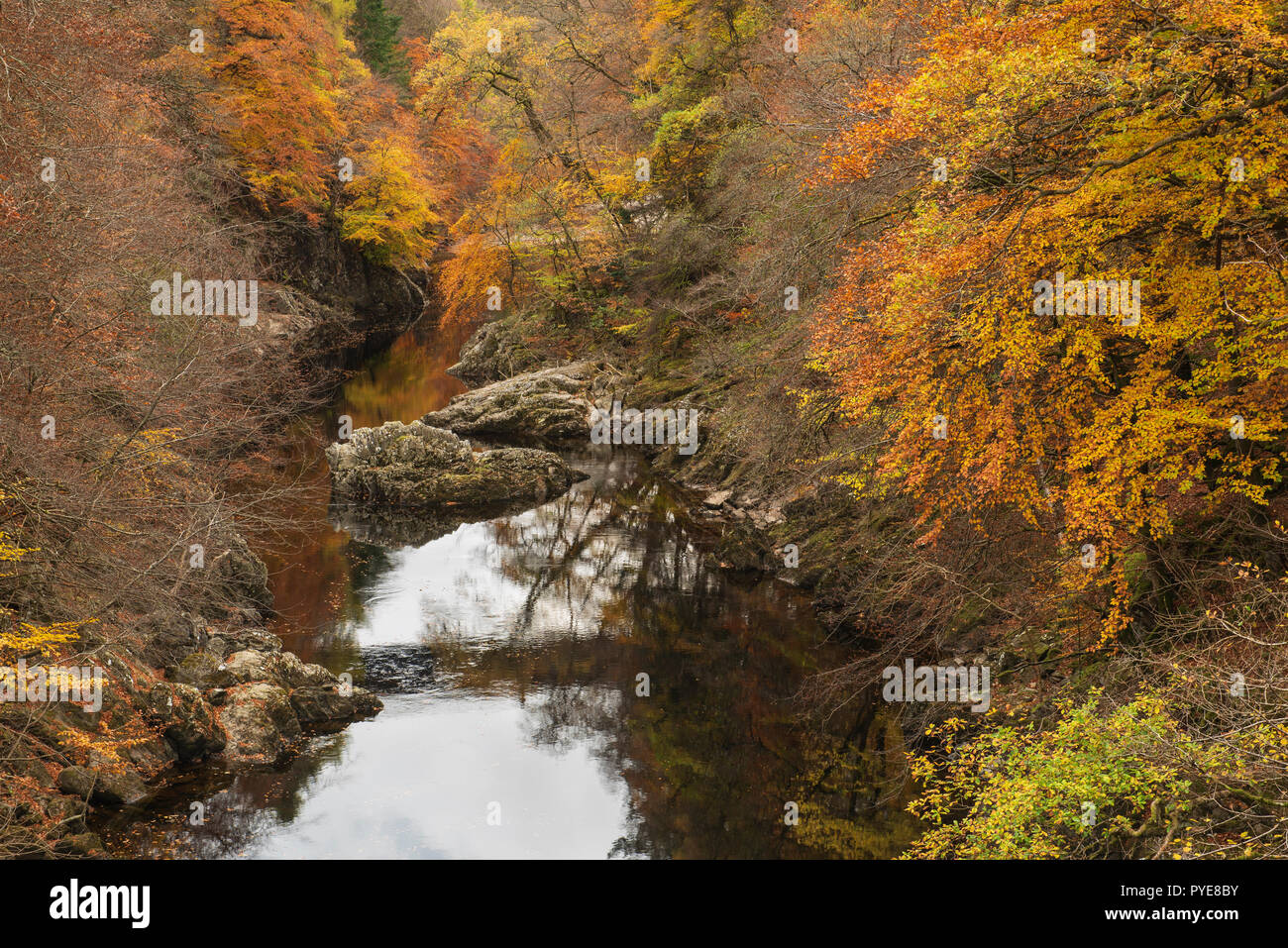 Blick von der Fußgängerbrücke über den Fluss Garry, Killiecrankie Schlucht, Perthshire, Schottland. Stockfoto