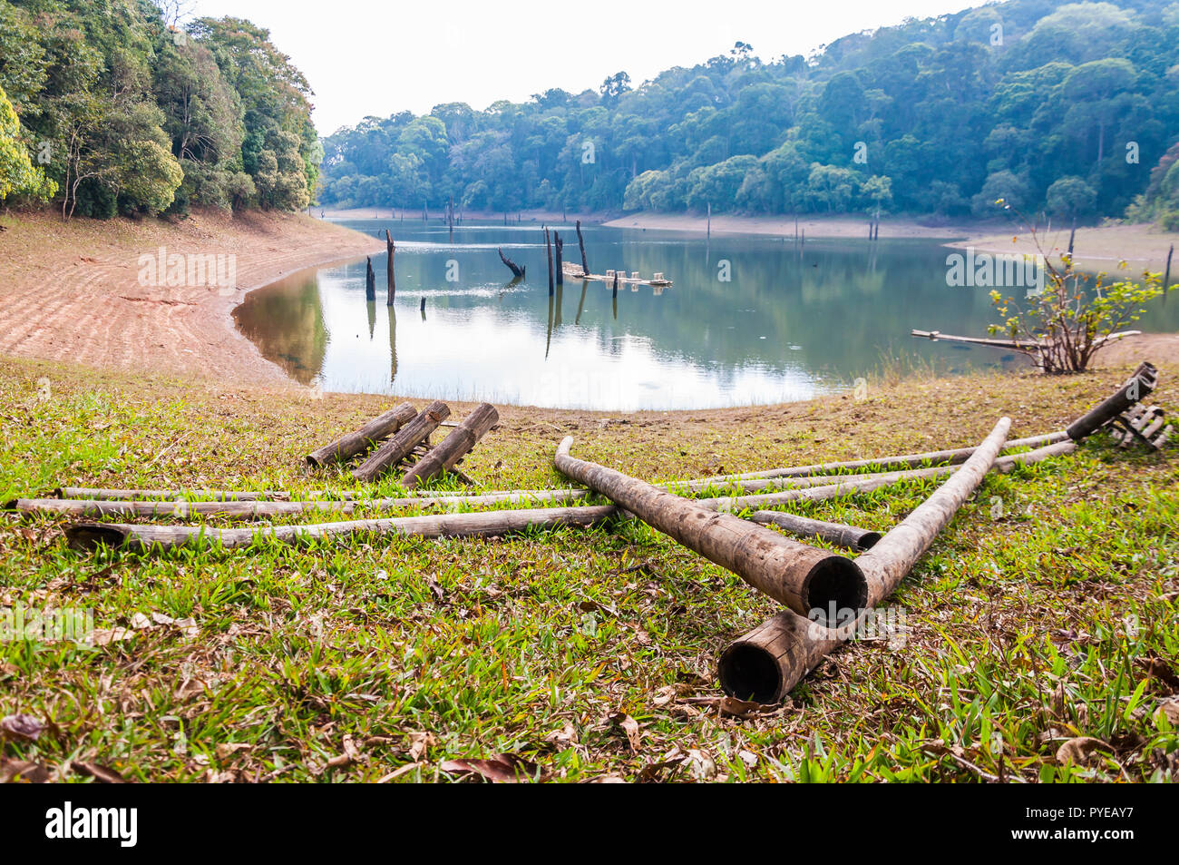 Diese erstaunliche Wildlife Park liegt im südlichen Bundesstaat Kerala in Indien. Auf einer Fläche von 925 Sq. Km. ausgestreckt, Periyar ist einer der 27 Tiger behält sich Stockfoto