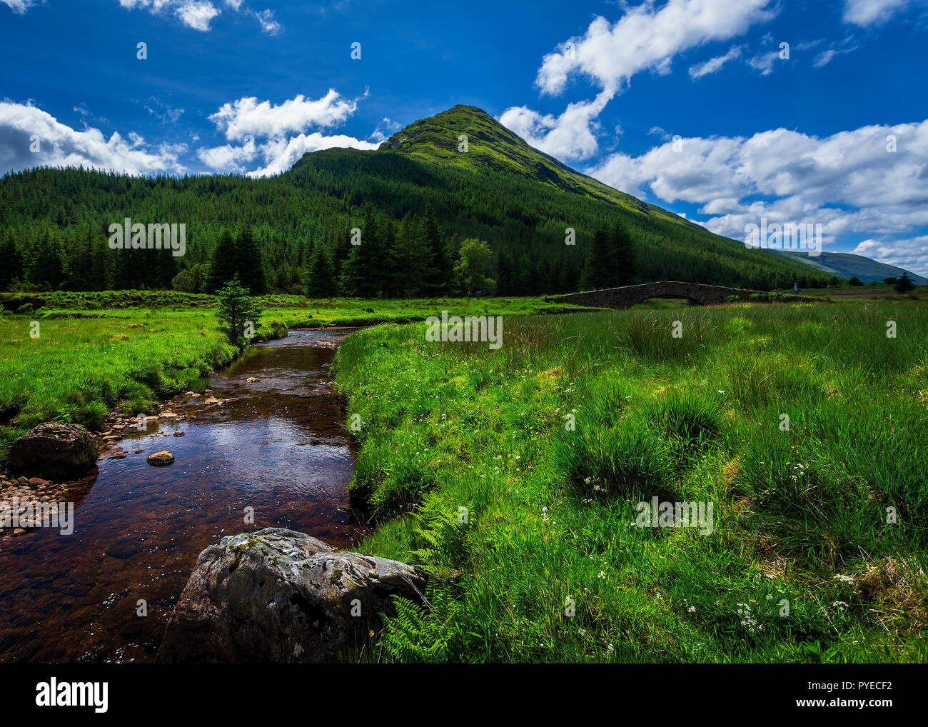 Schottische stream im Sommer Sonnenschein Stockfoto Schottische stream im Sommer Sonnenschein Stockfoto