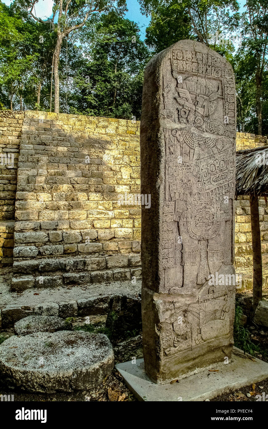 Guatemala Aguateca, Eroberung ist eine Stele des Königs in Ceibal gegen den König des Name Aguateca der Name des Königs ist Balam Chan Cahuil Stockfoto