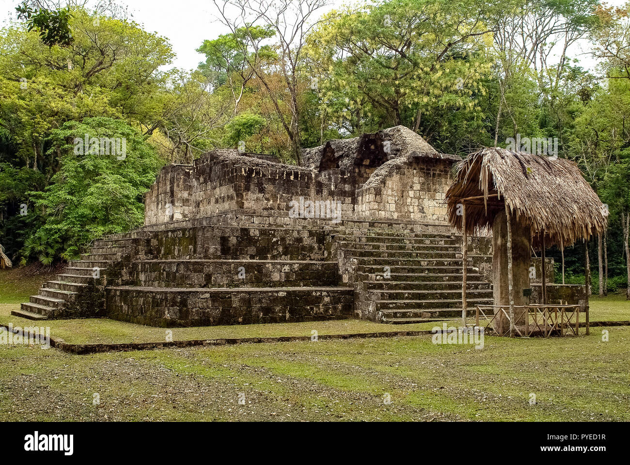Guatemala Ceibal, Altar der n 1 große Plaza Stockfoto