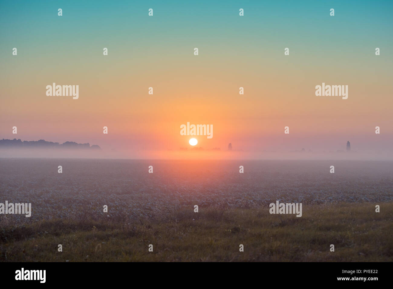 Early Misty Morning. Sonnenaufgang über dem Feld Stockfoto