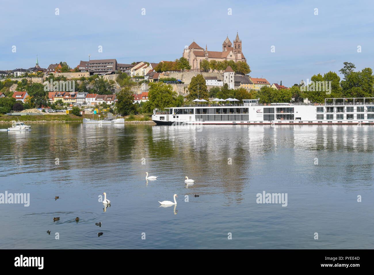 Viking River Cruise Schiff festgebunden in Breisach am Rhein, Baden Württemberg, Deutschland Stockfoto