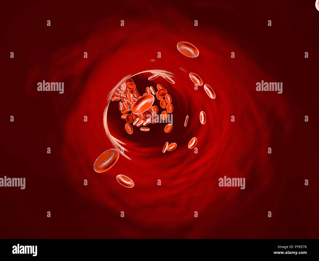 Fließenden Erythrozyten Zellen in einer Vene oder Arterie. Stockfoto