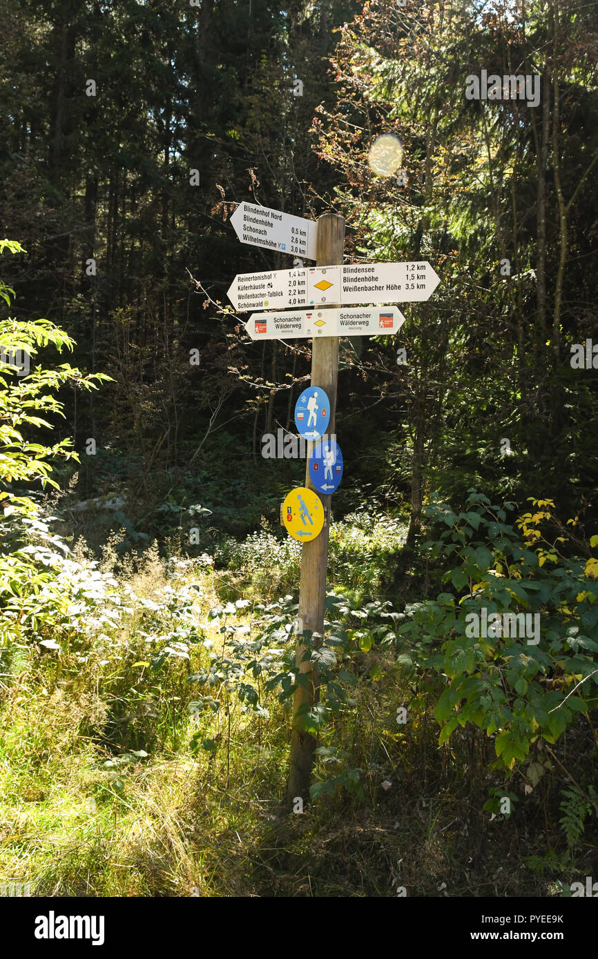 Wegweiser Marker im östlichen Schwarzwald mit verschiedenen Wanderwegen, Deutschland, Europa Stockfoto