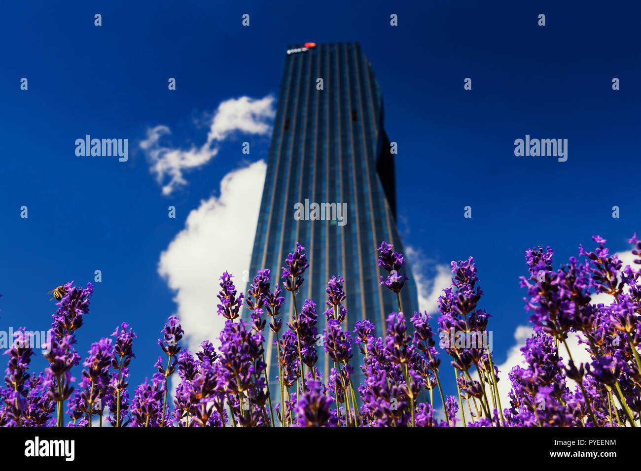 Sky Scraper mit blauem Himmel und Wolken in Wien Stockfoto