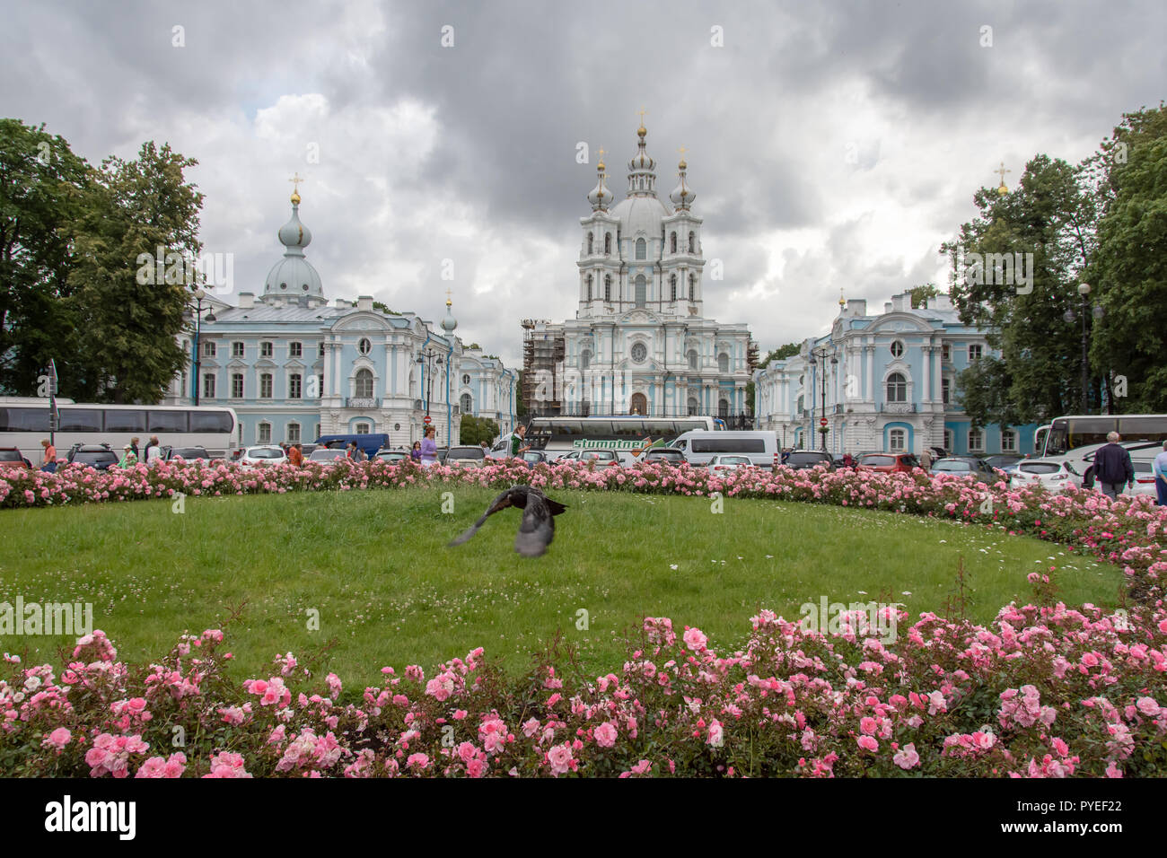 Smolny-Kathedrale in St. Petersburg, Russland Stockfoto