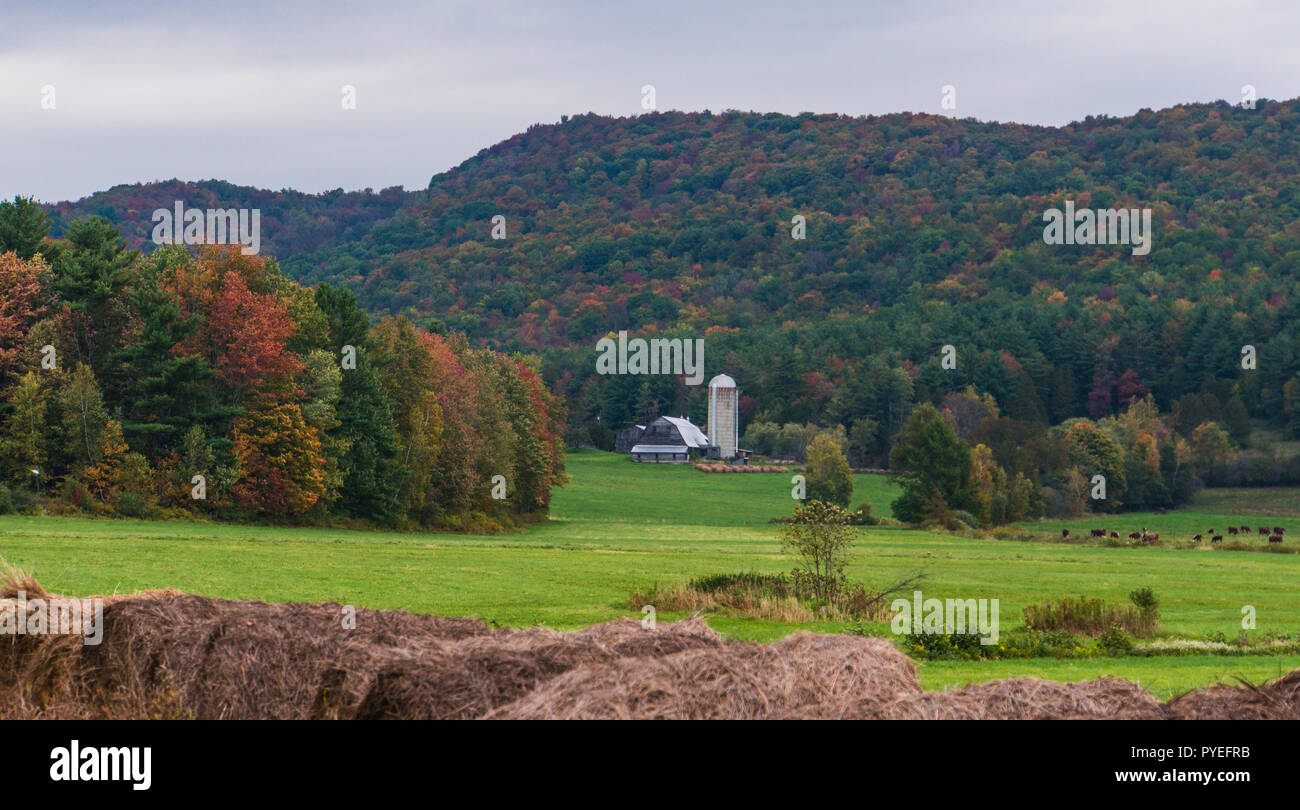 Heuballen aufgereiht vor einem Blick auf einer Rinderfarm mit den hellen Farben des Herbstes der Herbst Laub in den Hügeln hinter Stockfoto