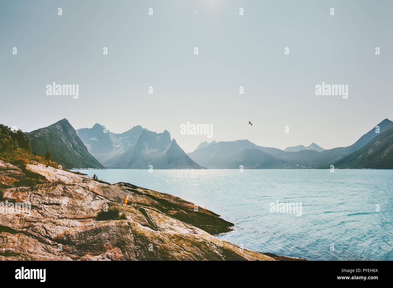Berge und Meer Landschaft in Norwegen Reisen Urlaub idyllische Sommer Landschaft Senja Inseln Stockfoto