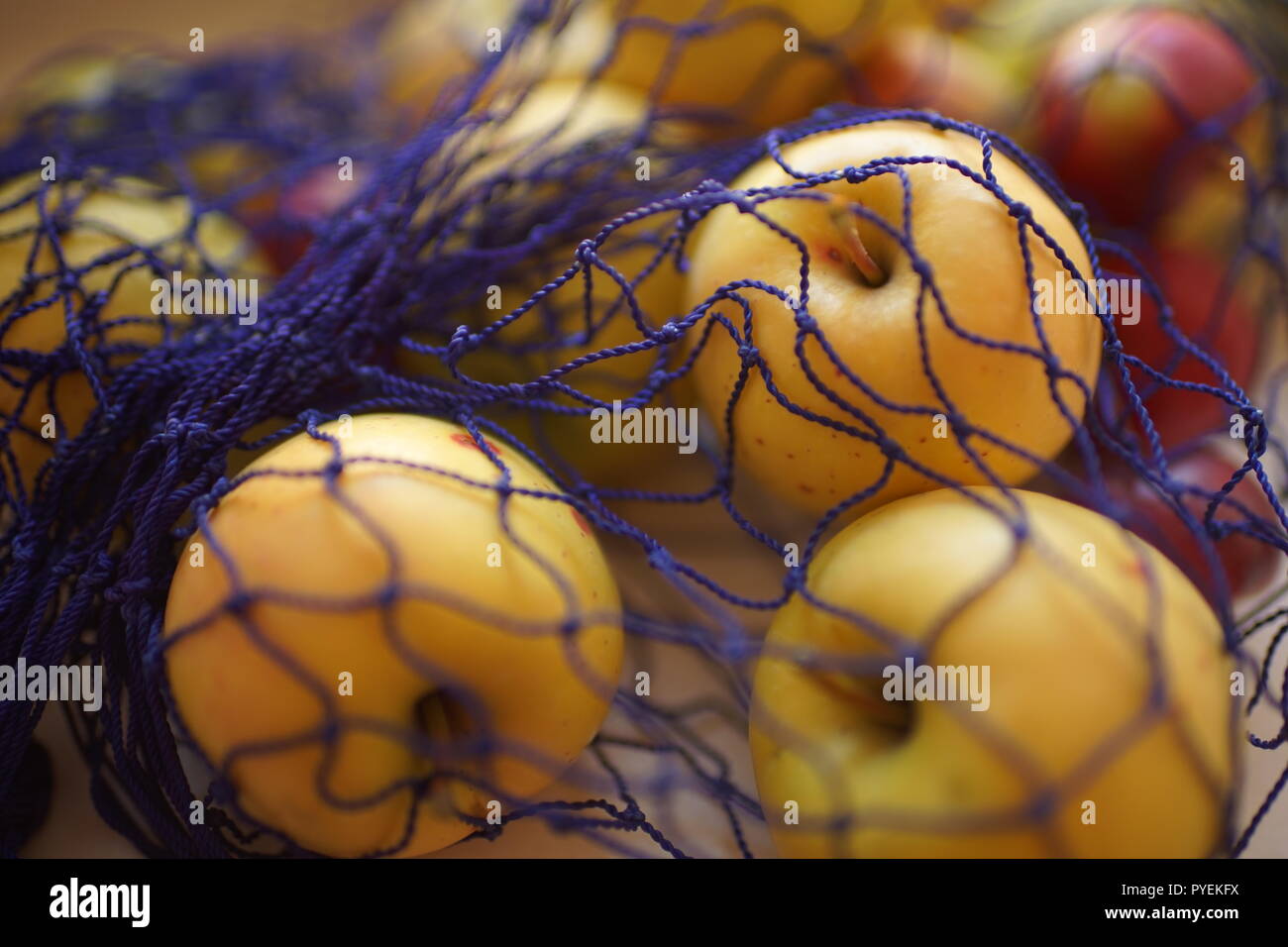 Reife äpfel in der blauen Netzbeutel, selektiver Fokus Stockfoto