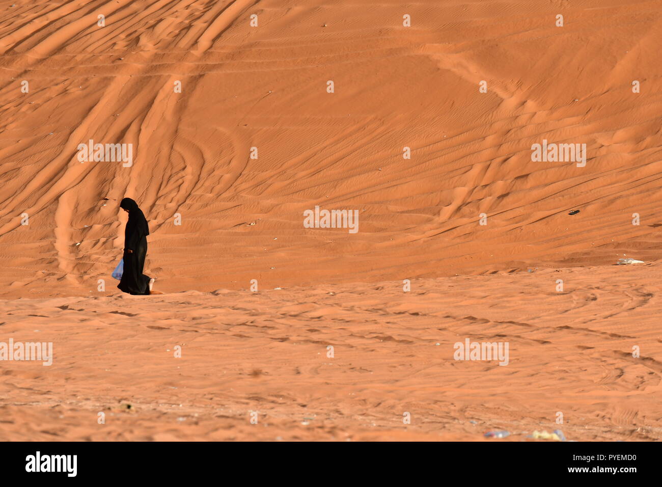 Die Einsamkeit in der Wüste Stockfoto