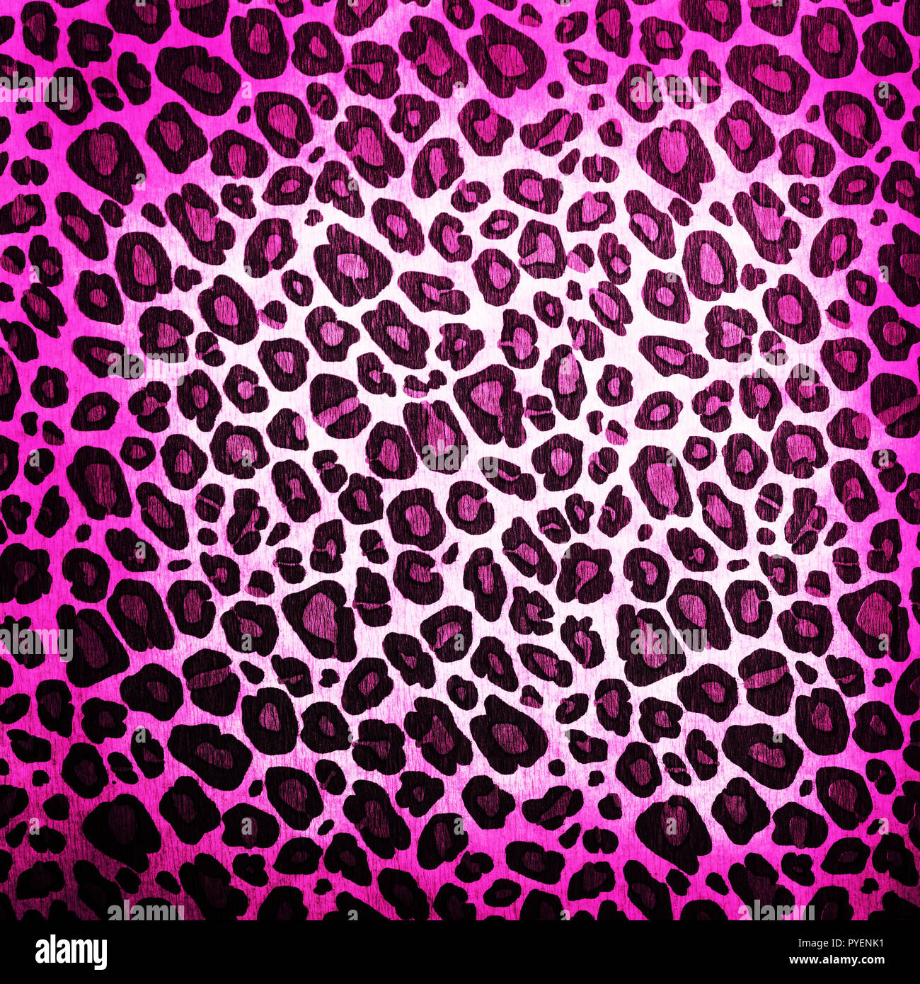 Leopard Muster Hintergrund oder Textur Nahaufnahme Stockfoto