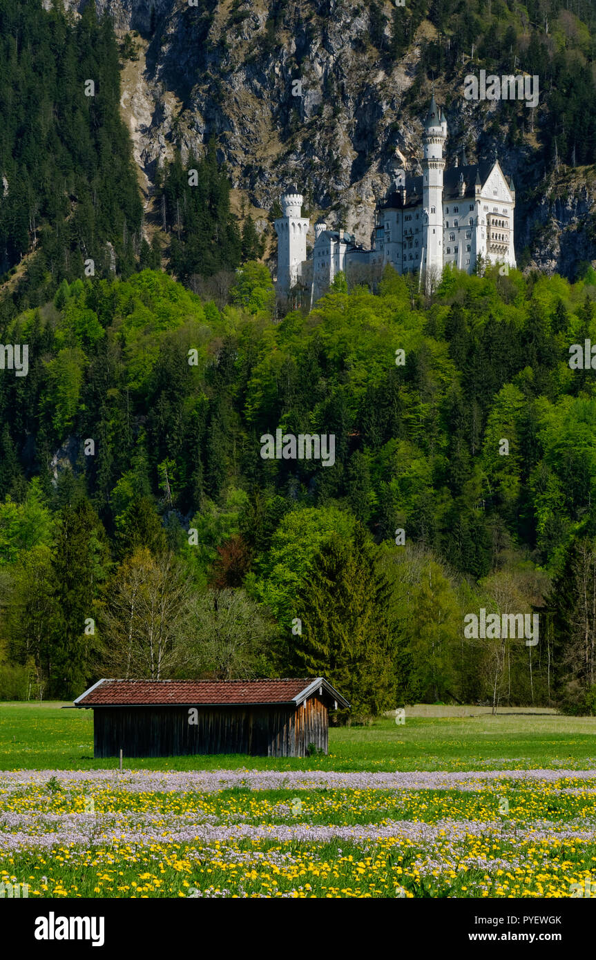 MSDEWLH 5D Diamantmalerei Set Bayern Neuschwanstein – 30x40 Cm, Rund, Mit Runden Diamanten, Inkl. Werkzeug, DIY Geschenk Für Zuhause