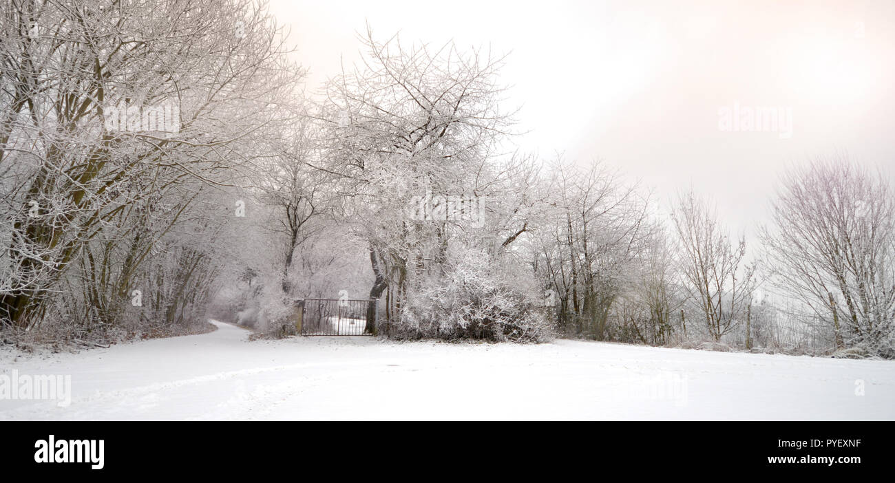 Schnee Winter Wald Weihnachten Winter wonderland Sunset Stockfoto