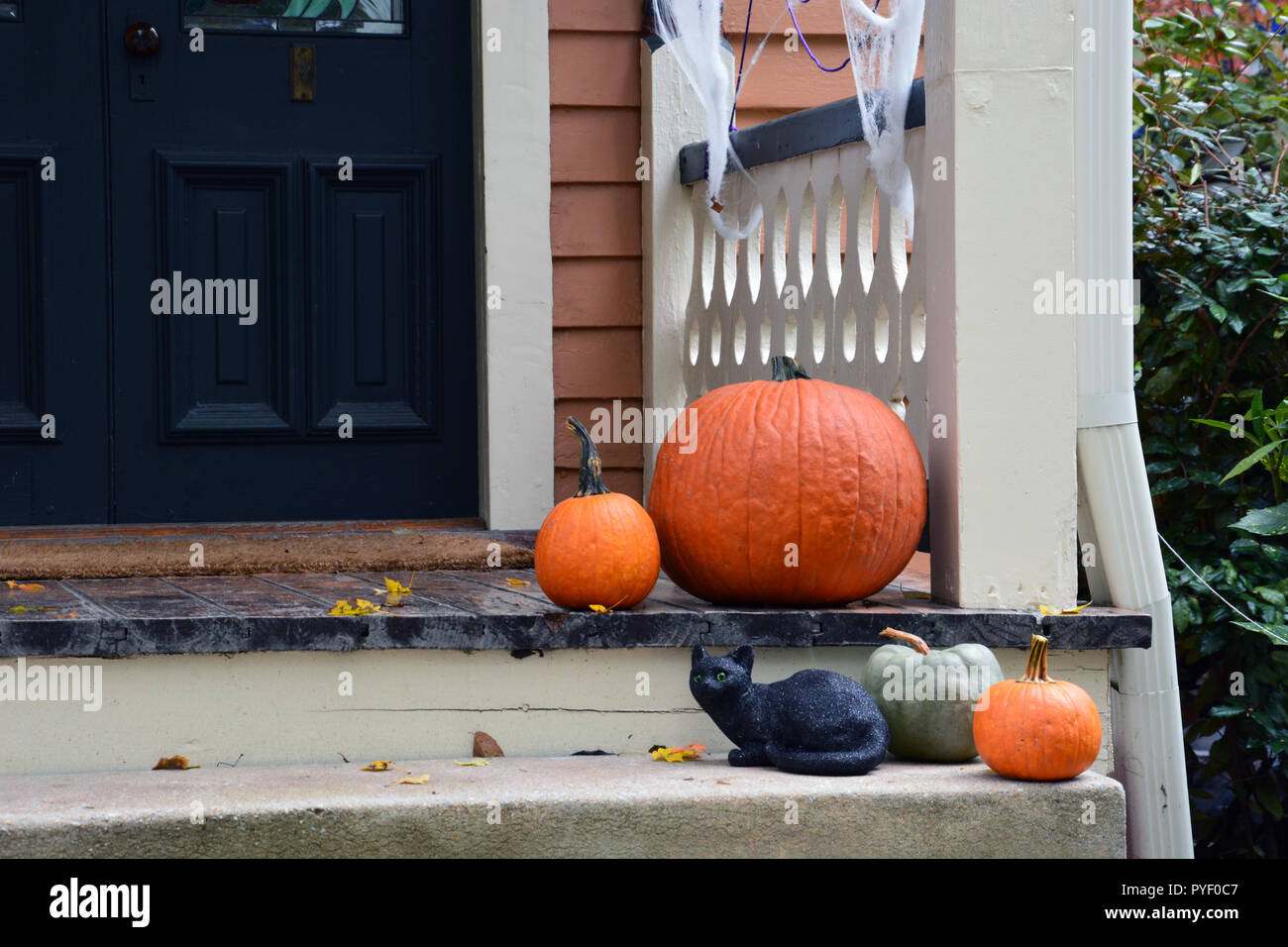 Kürbisse und eine schwarze Katze eine Veranda dekorieren für Halloween. Stockfoto