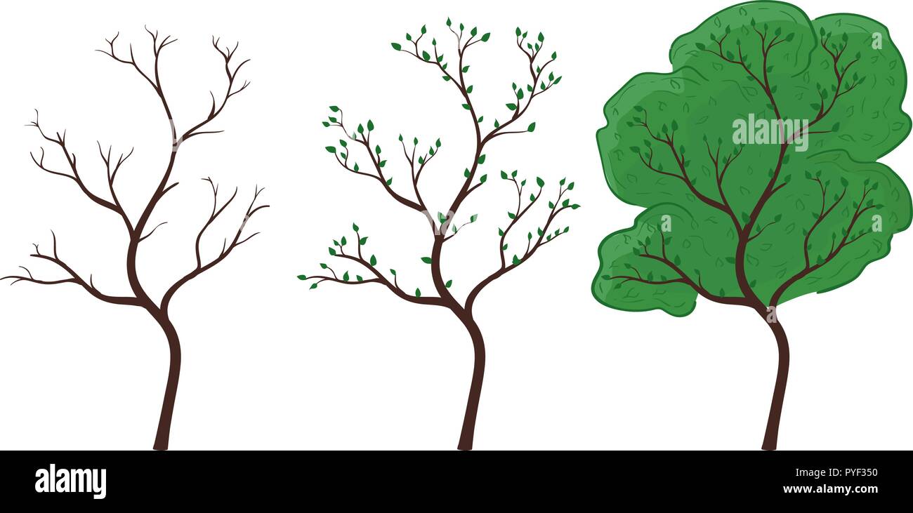 Baum in der Saison ändern. Hand gezeichnete farbige Doodle Stock Vektor