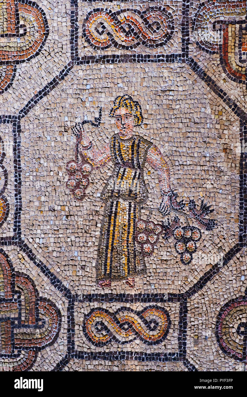 Italien, Friaul Julisch Aquilee, Aquileia, Basilika von Santa Maria Assunta, Mosaik aus dem 4. Jahrhundert Stockfoto
