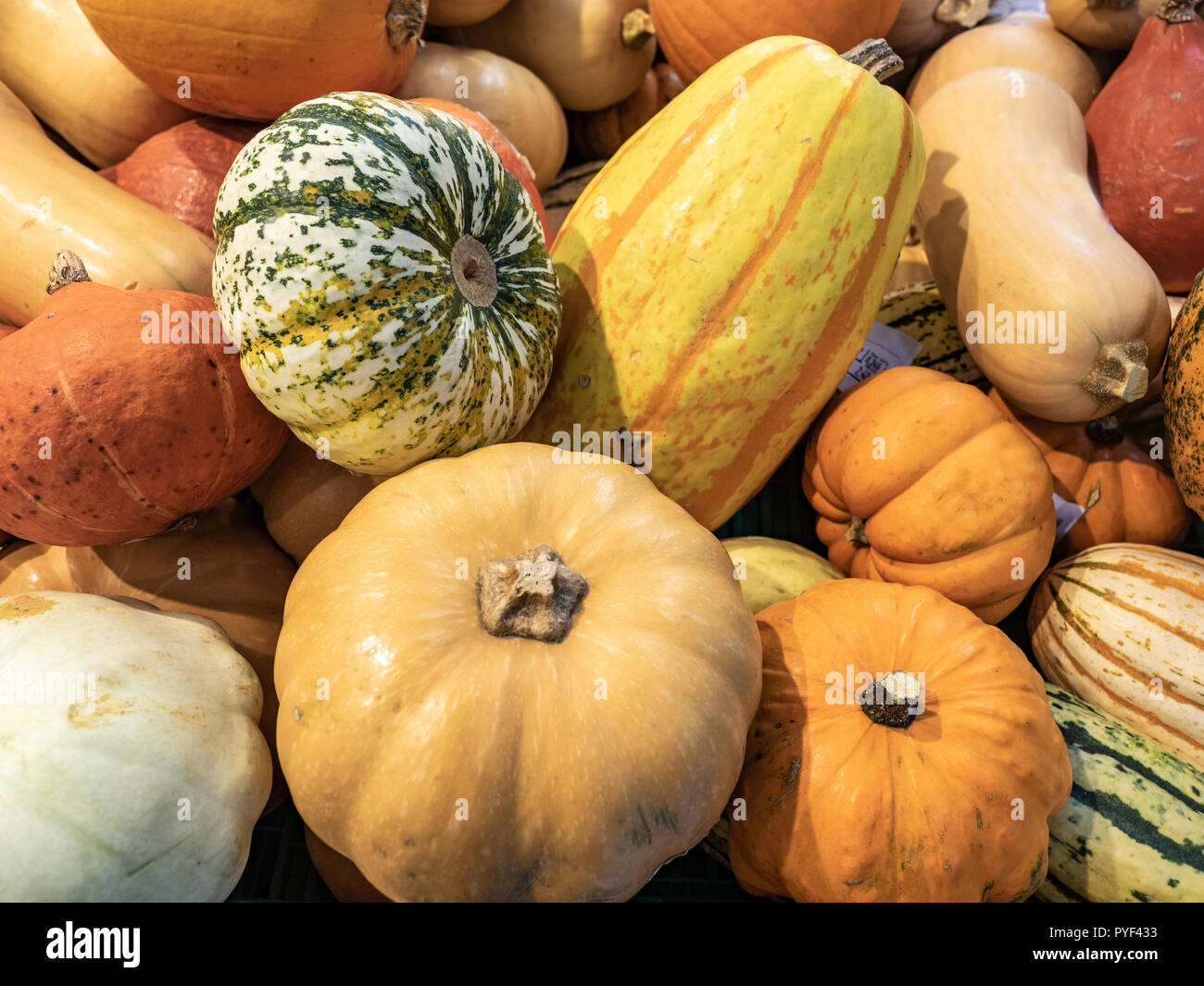 Kleine dekorative Kürbisse halloween Feiertage zu feiern Stockfoto