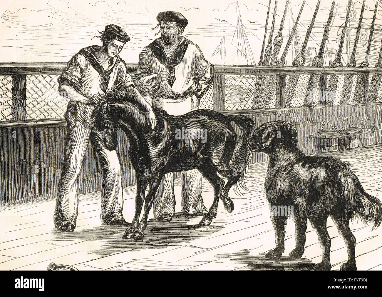 An Bord der HMS Seraphis, Pony und Thibet Mastiff, ca. 1875 Stockfoto