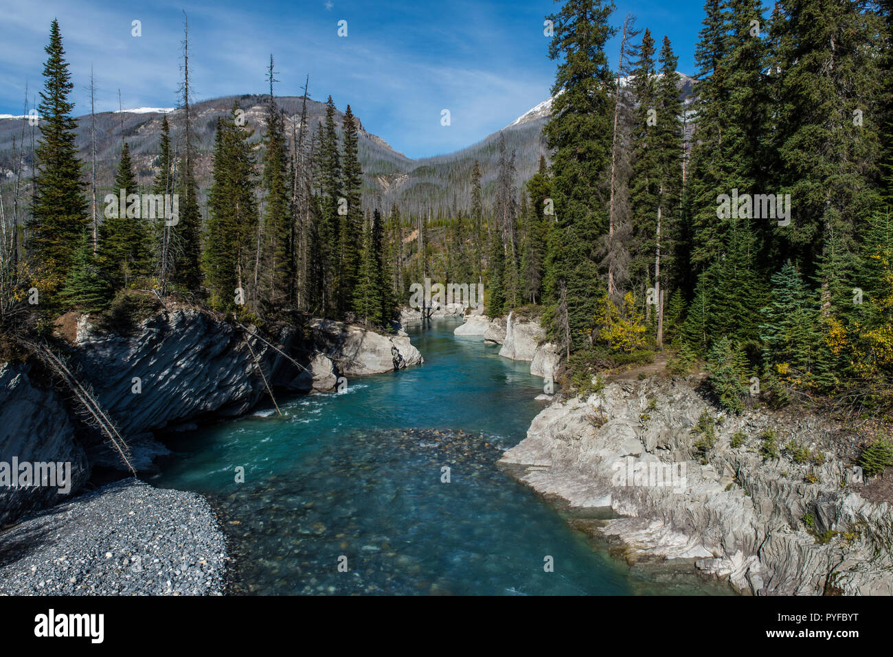 Vermillion River, Kootenay NP, British Columbia, Kanada, von Bruce Montagne/Dembinsky Foto Assoc Stockfoto