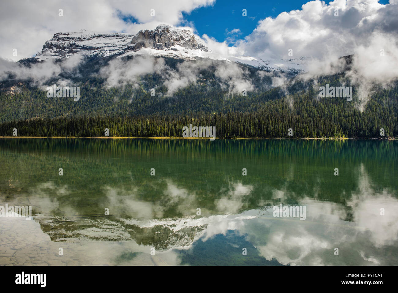 Emerald Lake, Yoho NP, British Columbia, Kanada, von Bruce Montagne/Dembinsky Foto Assoc Stockfoto