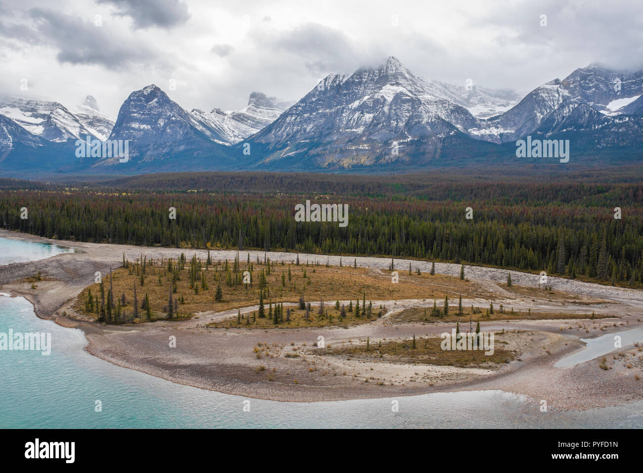 Athabasca River, Jasper NP, Alberta, Kanada, von Bruce Montagne/Dembinsky Foto Assoc Stockfoto