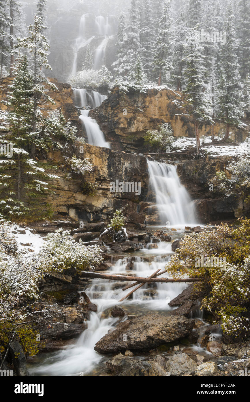 Tangle Creek Falls, Icefield Parkway, Jasper NP, Alberta, Kanada, von Bruce Montagne/Dembinsky Foto Assoc Stockfoto