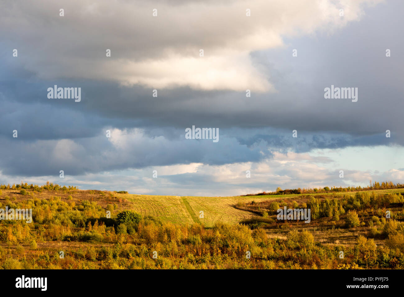 Helle vor Sonnenuntergang Licht und dramatische Wolken über Sieg Holz, Yorkletts, Whitstable, Kent, Großbritannien. Stockfoto