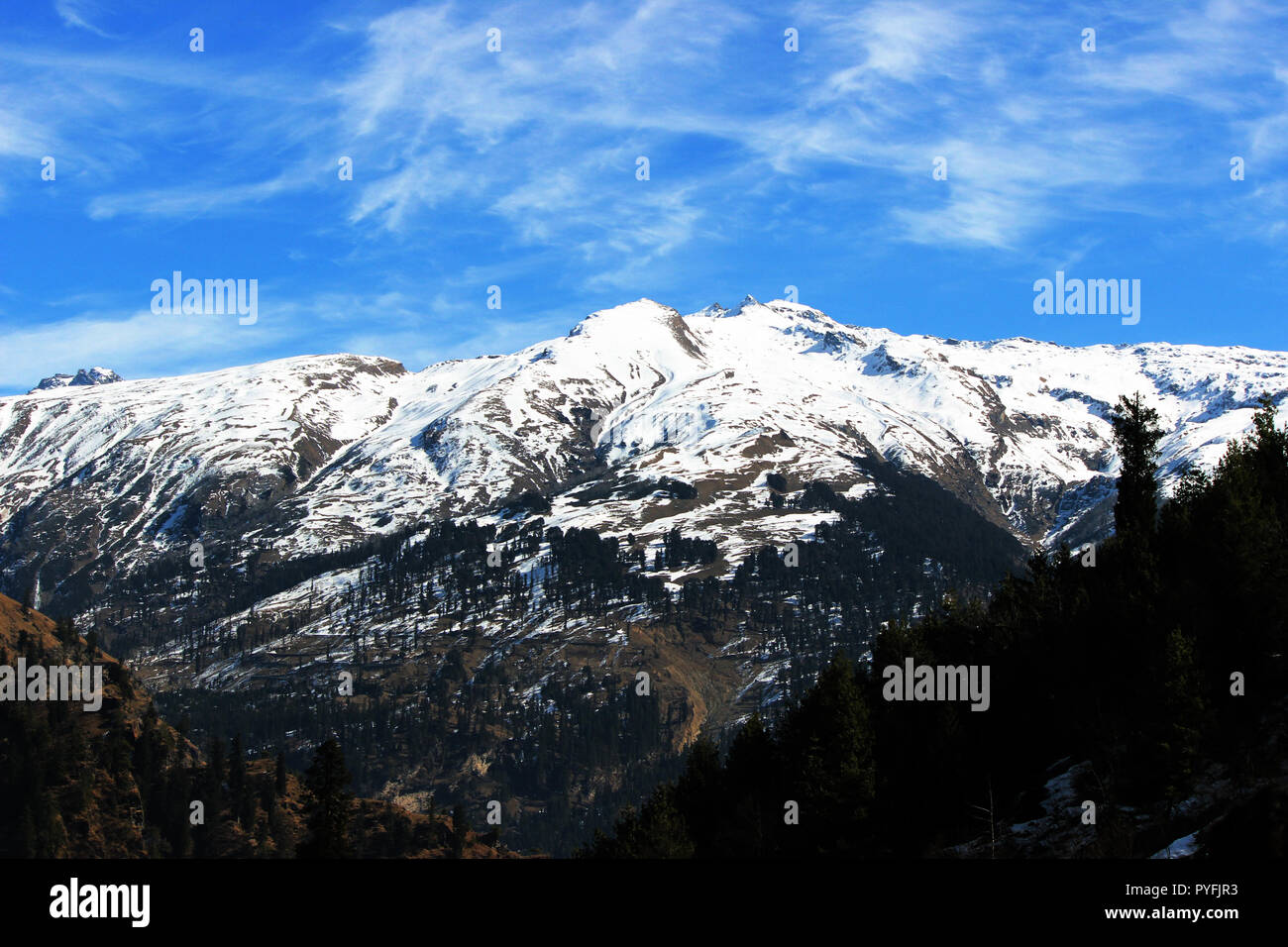 Hügel von Manali, Solang Valley Stockfoto