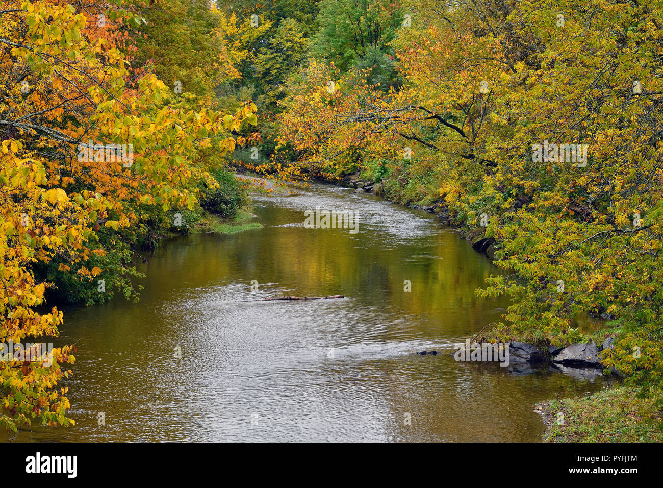 Eine horizontale Landschaft von Trout Creek in Sussex New Brunswick mit dem Baum Blätter entlang den Seiten des Creek drehen die hellen Farben des Herbstes. Stockfoto