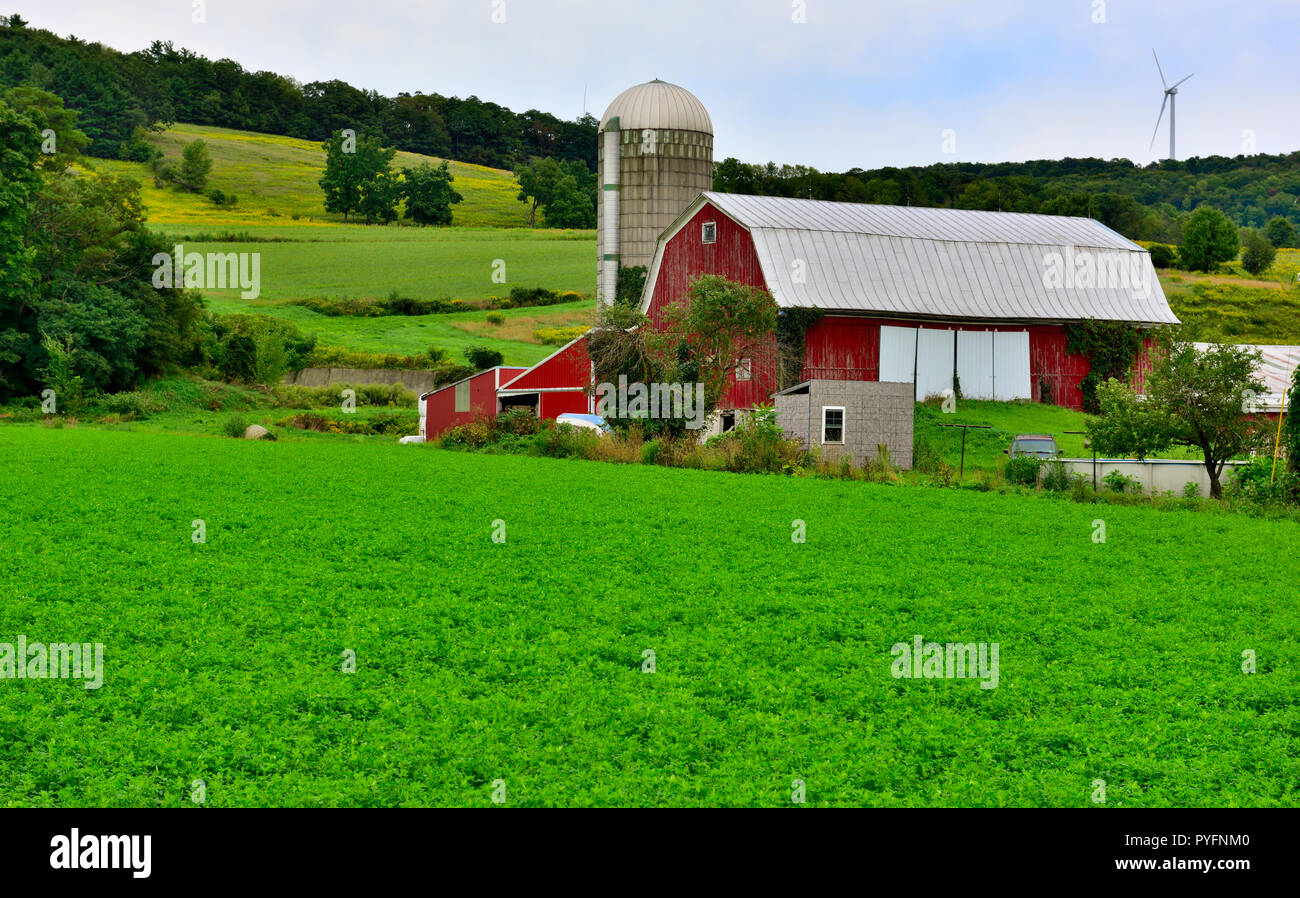 Typische rote Scheune und Getreidesilo im Norden des Staates New York und einige der neuen England gesehen, USA Stockfoto