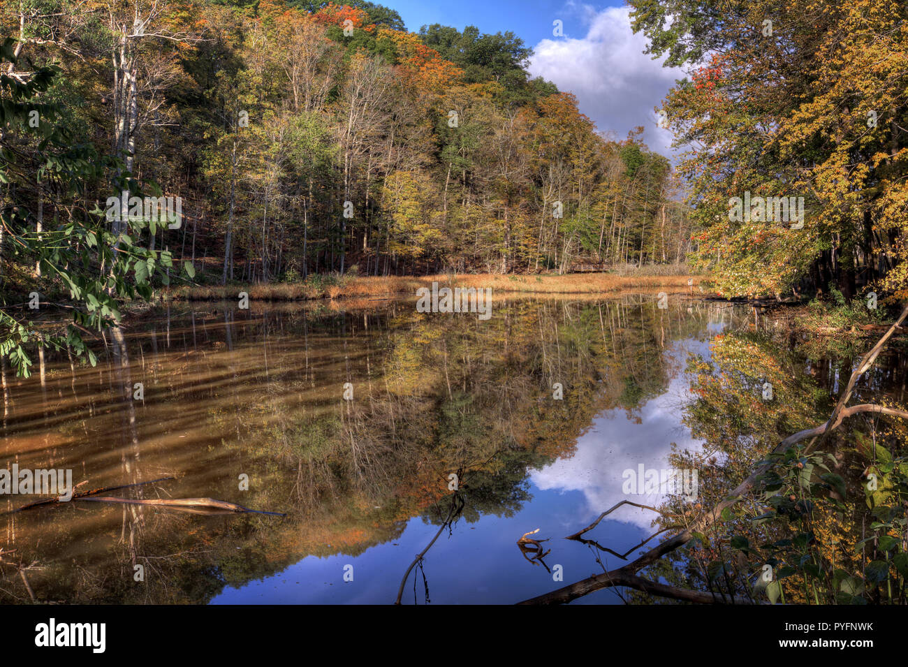 Einen schönen Herbst Szene am Rocky River Buchung, in der die lebhaften Farben der Herbst Bäume im Wasser widerspiegelt. Stockfoto