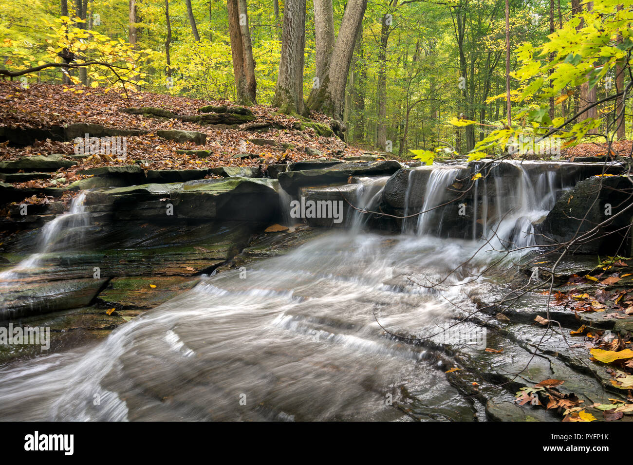 Eine der vielen malerischen Wasserfällen entlang der Sulpher Springs Creek in Bentleyville Ohio während der Spitzenzeiten fallen Farben. Dieser kleine Wasserfall sieht es am Besten w Stockfoto