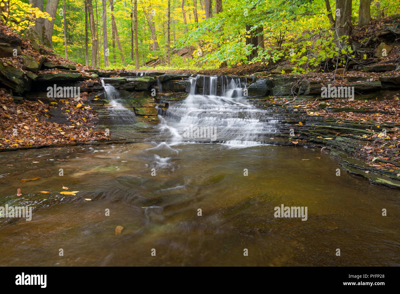 Eine der vielen malerischen Wasserfällen entlang der Sulpher Springs Creek in Bentleyville Ohio während der Spitzenzeiten fallen Farben. Dieser kleine Wasserfall sieht es am Besten w Stockfoto