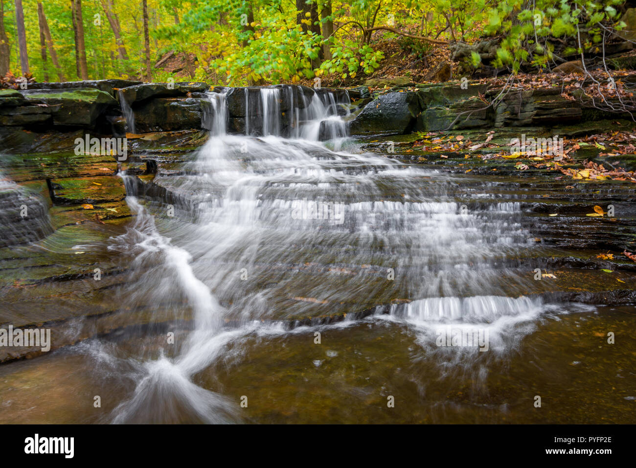 Eine der vielen malerischen Wasserfällen entlang der Sulpher Springs Creek in Bentleyville Ohio während der Spitzenzeiten fallen Farben. Dieser kleine Wasserfall sieht es am Besten w Stockfoto